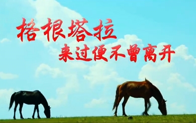 &#108;&#101;&#121;&#117;&#46;&#20048;&#40060;&#40;&#38598;&#22242;&#41;&#26234;&#33021;&#31185;&#25216;&#32929;&#20221;&#26377;&#38480;&#20844;&#21496;&#32593;&#31449;